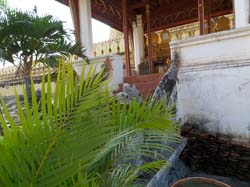 1_Laos_ (7)